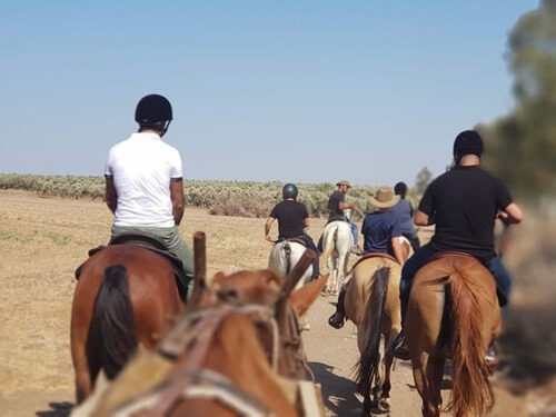 החווה הצ'רקסית
